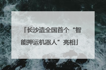 长沙造全国首个“智能押运机器人”亮相