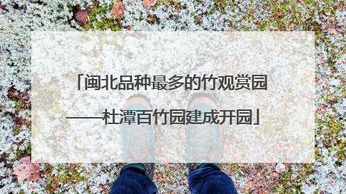 闽北品种最多的竹观赏园——杜潭百竹园建成开园