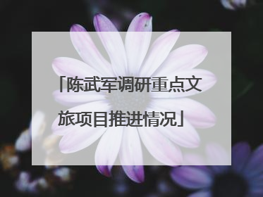 陈武军调研重点文旅项目推进情况