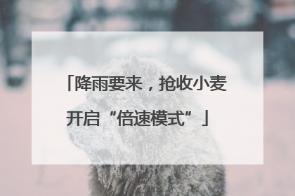降雨要来，抢收小麦开启“倍速模式”