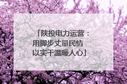 陕投电力运营：用脚步丈量民情 以实干温暖人心