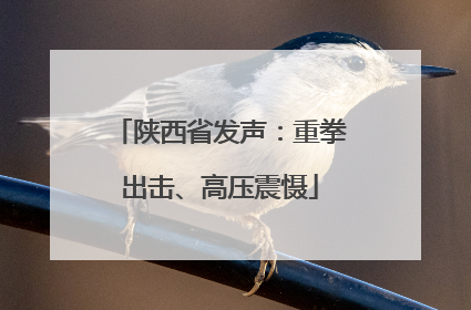 陕西省发声：重拳出击、高压震慑