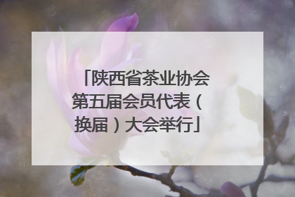 陕西省茶业协会第五届会员代表（换届）大会举行