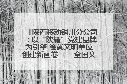 陕西移动铜川分公司：以“陕耀”党建品牌为引擎 绘就文明单位创建新画卷——全国文明单位创建纪实