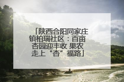 陕西合阳同家庄镇柏瑞社区：百亩杏园迎丰收 果农走上“杏”福路