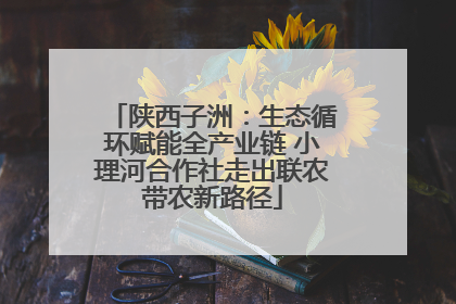 陕西子洲：生态循环赋能全产业链 小理河合作社走出联农带农新路径