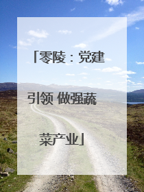 零陵：党建引领 做强蔬菜产业