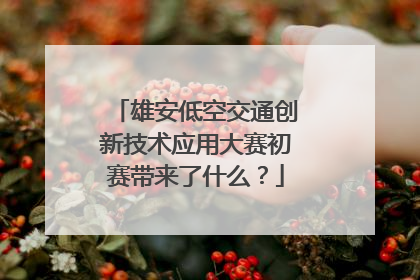 雄安低空交通创新技术应用大赛初赛带来了什么？