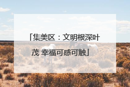 集美区：文明根深叶茂 幸福可感可触