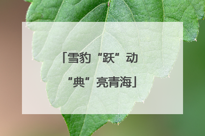 雪豹“跃”动 “典”亮青海