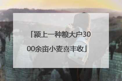 颍上一种粮大户3000余亩小麦喜丰收