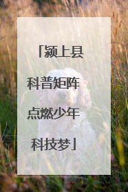 颍上县科普矩阵点燃少年科技梦