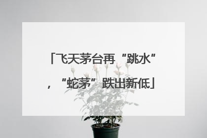飞天茅台再“跳水”，“蛇茅”跌出新低