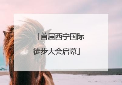 首届西宁国际徒步大会启幕
