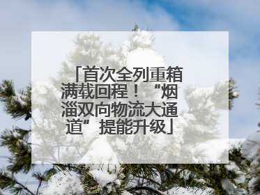 首次全列重箱满载回程！“烟淄双向物流大通道”提能升级
