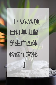 马东铁项目订单班留学生广西体验端午文化