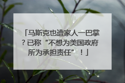 马斯克也遭家人一巴掌？已称“不想为美国政府所为承担责任”！