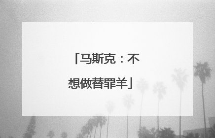马斯克：不想做替罪羊