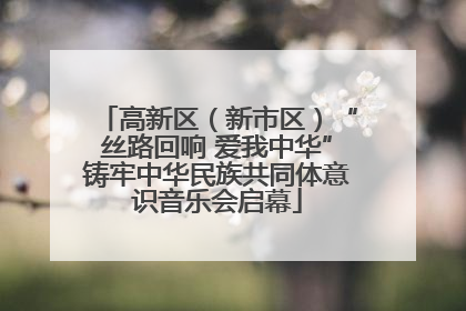 高新区（新市区）“丝路回响 爱我中华”铸牢中华民族共同体意识音乐会启幕