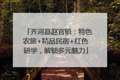 齐河县赵官镇：特色农旅+精品民宿+红色研学，解锁多元魅力