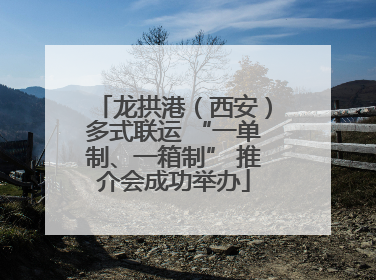 龙拱港（西安）多式联运 “一单制、一箱制” 推介会成功举办