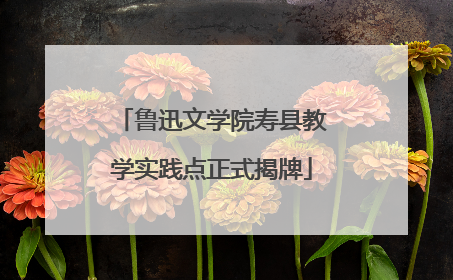 鲁迅文学院寿县教学实践点正式揭牌