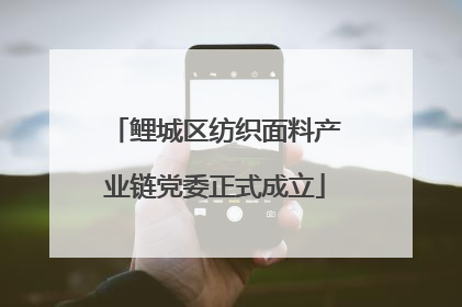 鲤城区纺织面料产业链党委正式成立