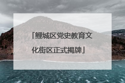 鲤城区党史教育文化街区正式揭牌