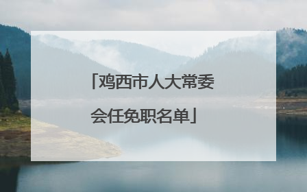 鸡西市人大常委会任免职名单