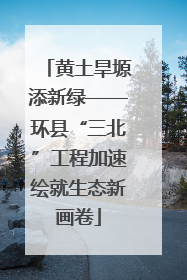 黄土旱塬添新绿——环县“三北”工程加速绘就生态新画卷