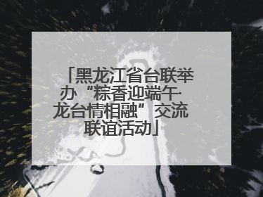 黑龙江省台联举办“粽香迎端午·龙台情相融”交流联谊活动