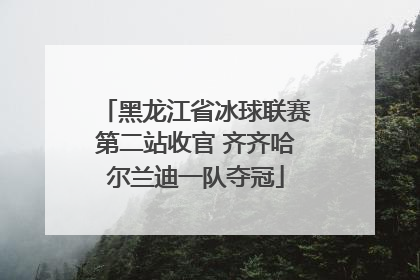 黑龙江省冰球联赛第二站收官 齐齐哈尔兰迪一队夺冠