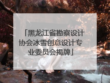 黑龙江省勘察设计协会冰雪创意设计专业委员会揭牌