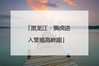 黑龙江：狮虎进入繁殖高峰期