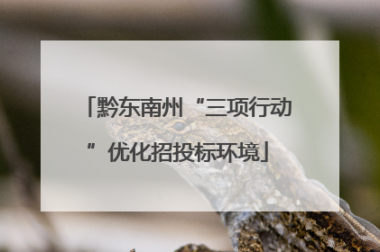 黔东南州“三项行动”优化招投标环境