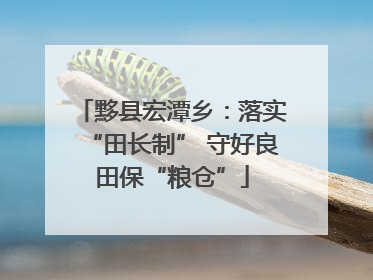 黟县宏潭乡：落实“田长制” 守好良田保“粮仓”