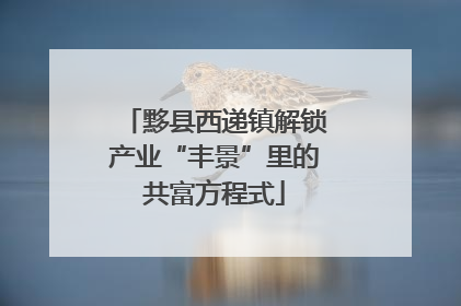 黟县西递镇解锁产业“丰景”里的共富方程式