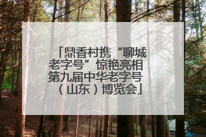 鼎香村携“聊城老字号”惊艳亮相第九届中华老字号（山东）博览会
