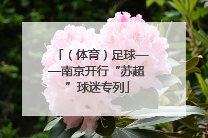 （体育）足球——南京开行“苏超”球迷专列