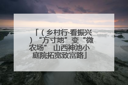 （乡村行·看振兴）“方寸地”变“微农场” 山西神池小庭院拓宽致富路