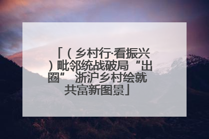 （乡村行·看振兴）毗邻统战破局“出圈” 浙沪乡村绘就共富新图景