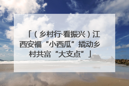 （乡村行·看振兴）江西安福“小西瓜”撬动乡村共富“大支点”