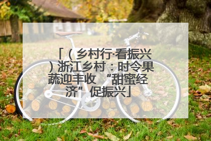 （乡村行·看振兴）浙江乡村：时令果蔬迎丰收 “甜蜜经济”促振兴