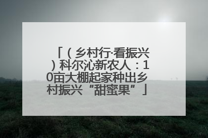 （乡村行·看振兴）科尔沁新农人：10亩大棚起家种出乡村振兴“甜蜜果”