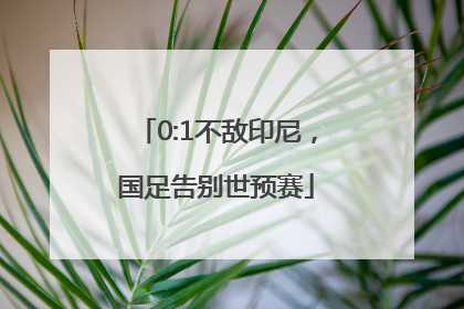 0:1不敌印尼，国足告别世预赛