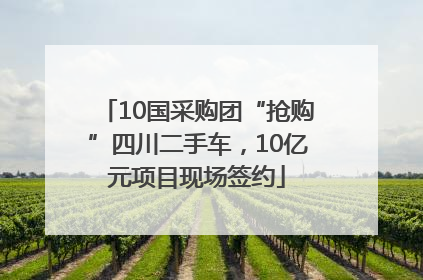 10国采购团“抢购”四川二手车，10亿元项目现场签约