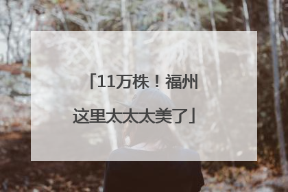 11万株！福州这里太太太美了