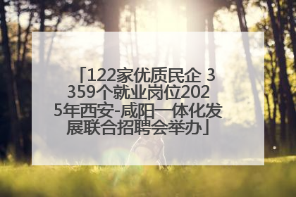 122家优质民企 3359个就业岗位2025年西安-咸阳一体化发展联合招聘会举办