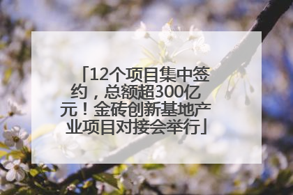 12个项目集中签约，总额超300亿元！金砖创新基地产业项目对接会举行