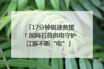 17分钟极速救援！国网石首供电守护江豚不断“电”